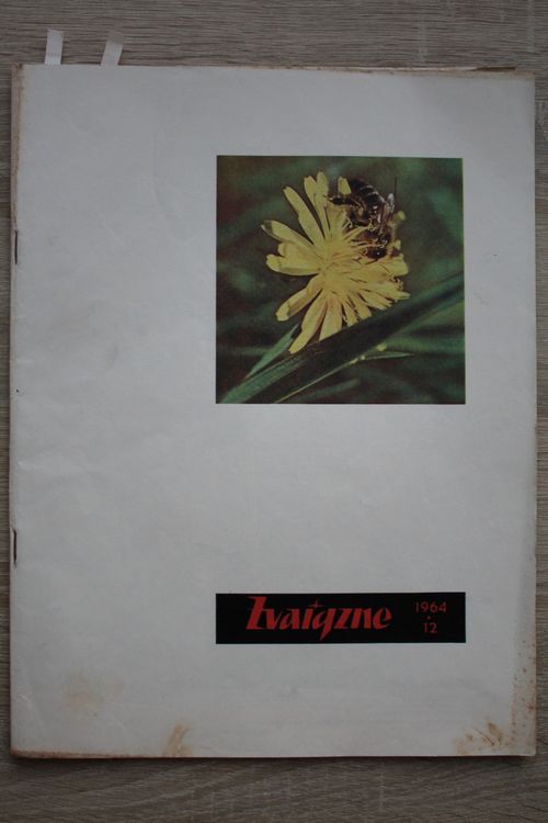 Zvaigzne. 1964g. Nr.12