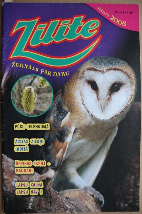 Zīlīte. 2008 g. Nr. marts