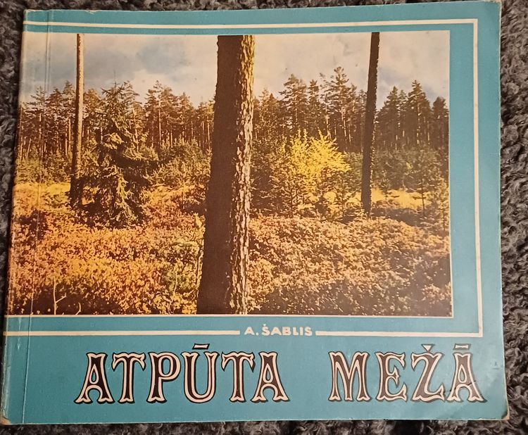 Atpūta mežā