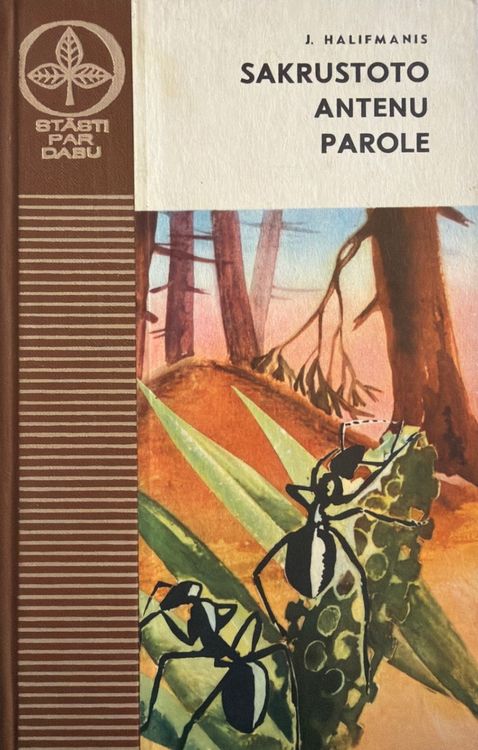 Sakrustoto antenu parole