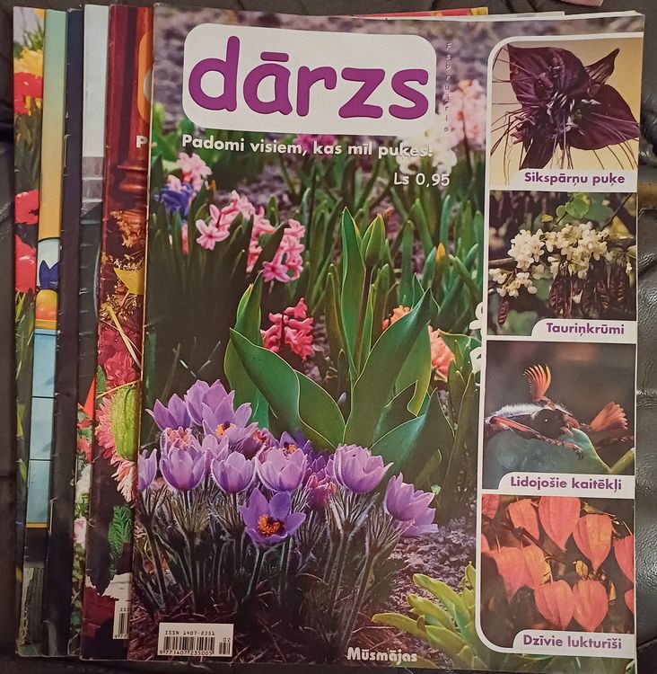 DĀRZS / 2003 / 6gb.