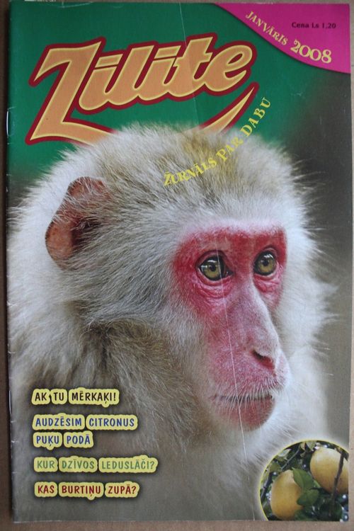Zīlīte. 2008 g. Nr. janvāris.