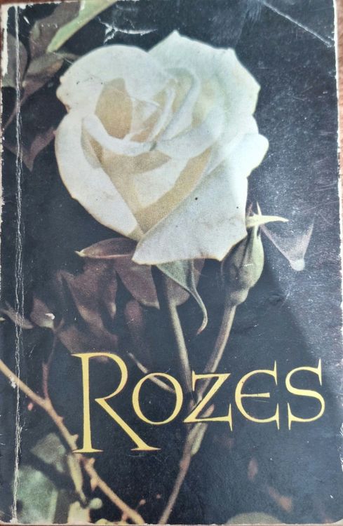 Rozes