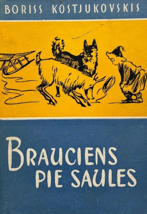 Brauciens pie saules
