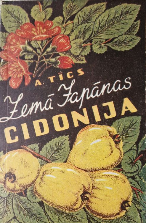 Zemā japānas cidonija