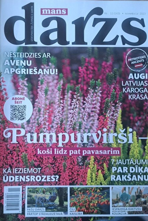 Mans dārzs 11/2023