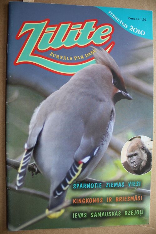 Zīlīte. 2010 g. Nr.februāris.