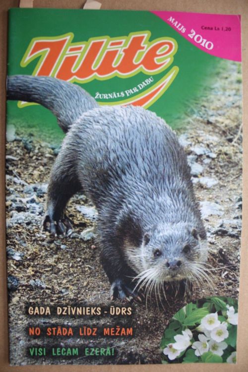 Zīlīte. 2010 g. Nr.maijs.