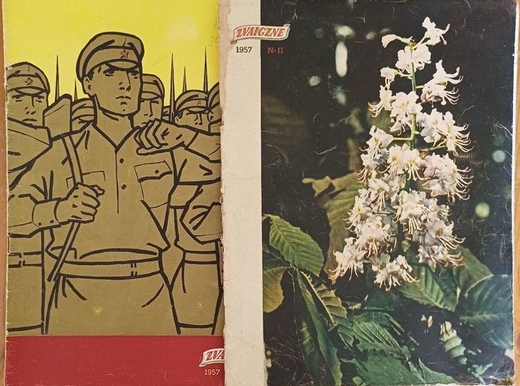 Zvaigzne / 1957. g. / 2 gb.