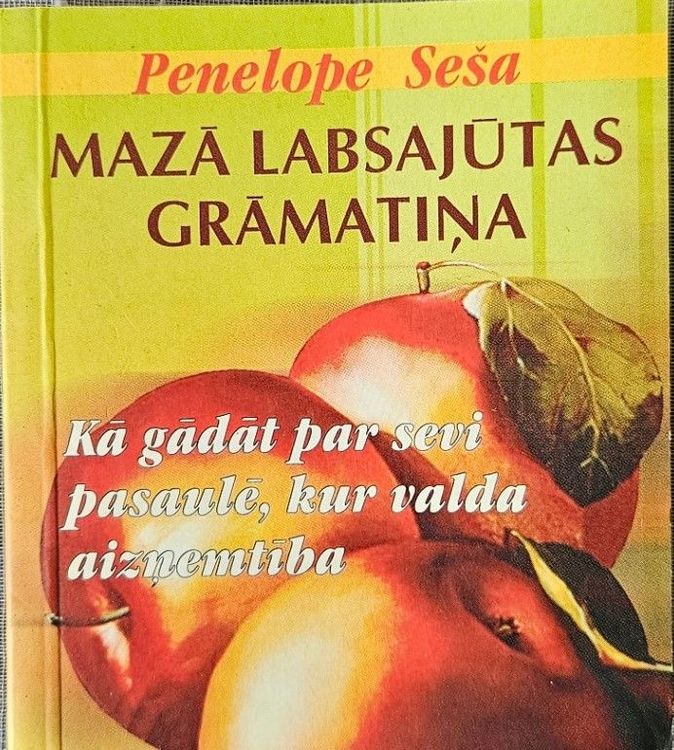 Mazā labsajūtas grāmatiņa