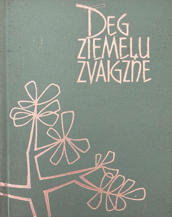 Deg ziemeļu zvaigzne  