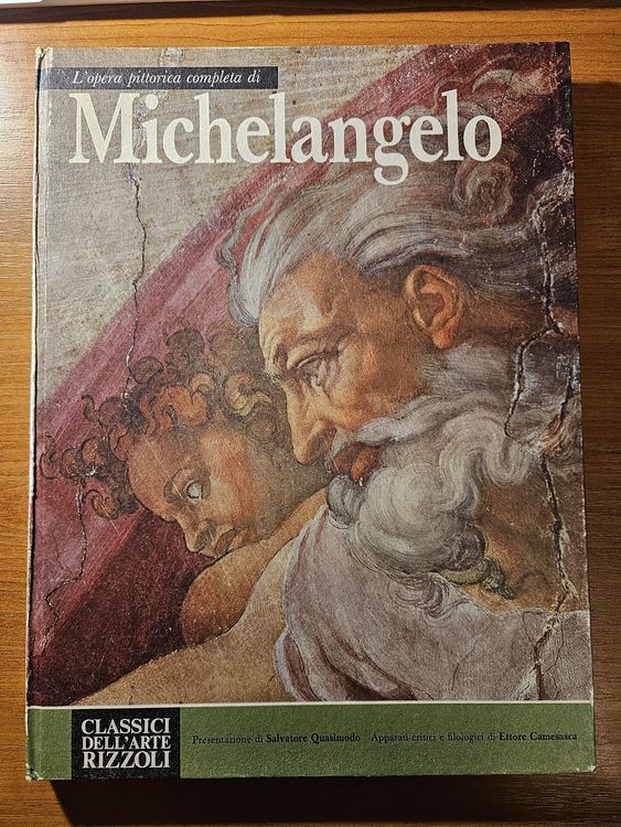  Michelangelo