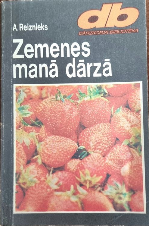 Zemenes manā dārzā