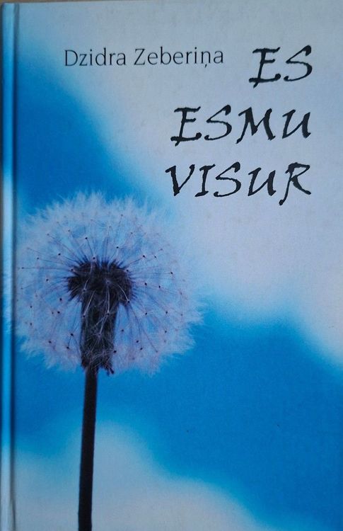 Es esmu visur