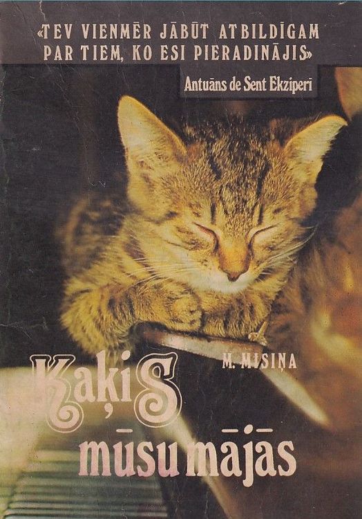 Kaķis mūsu mājās