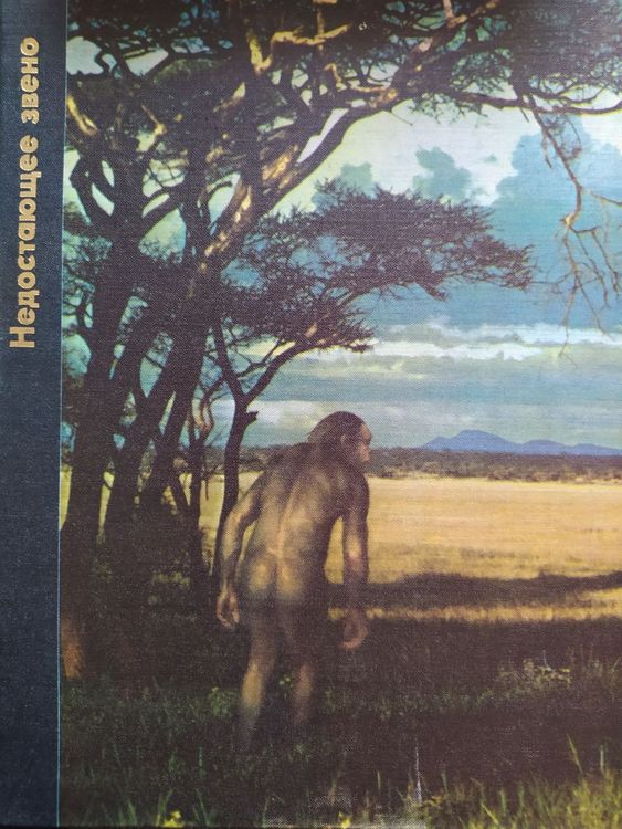 Недостающее звено 