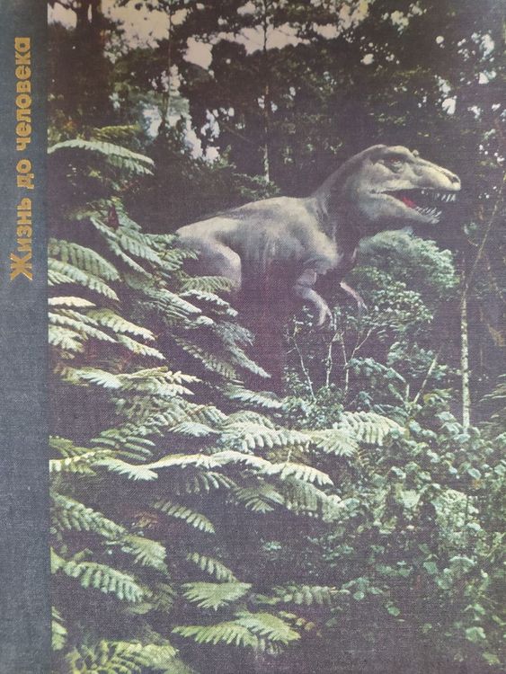 Жизнь до человека 