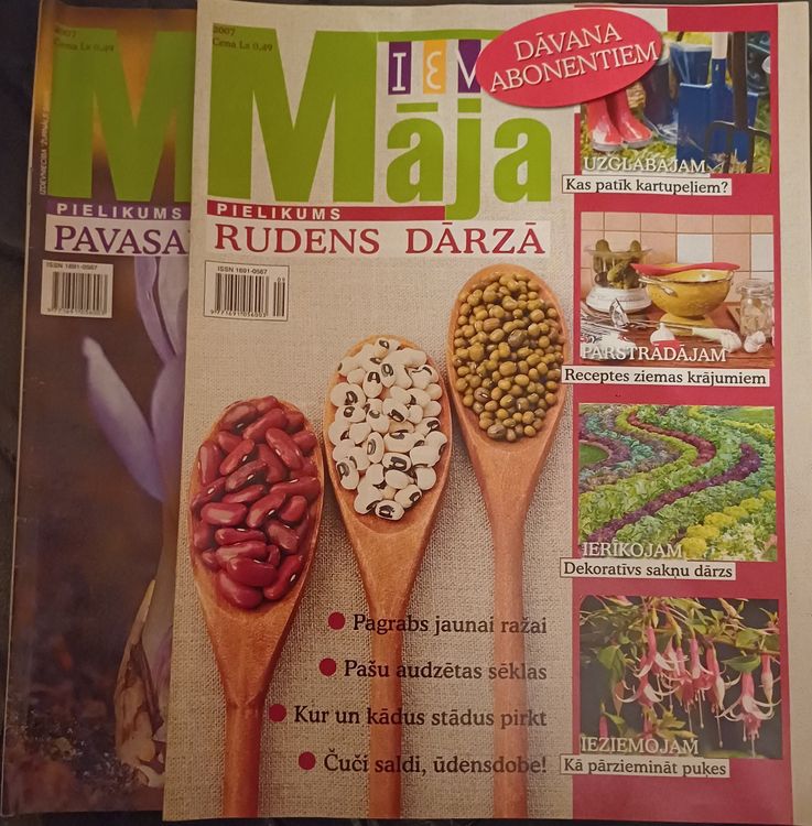 IEVAS MĀJA/ 2007/ 2gb.