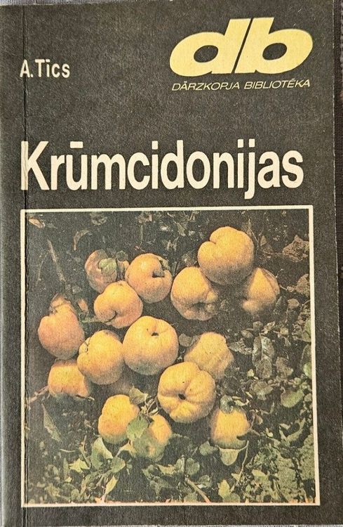Krūmcidonijas