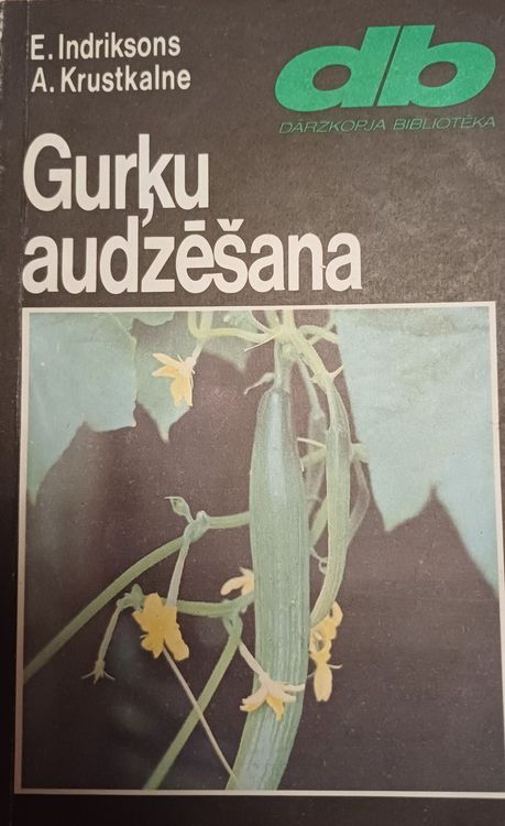 Gurķu audzēšana