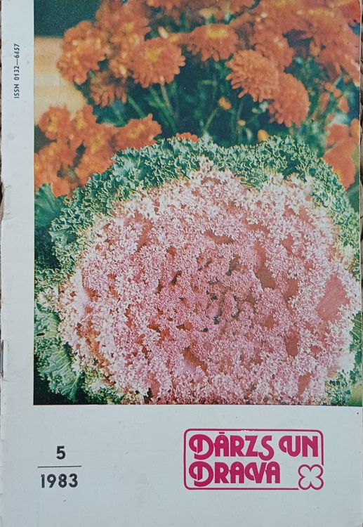 Dārzs un Drava /1983 g./5