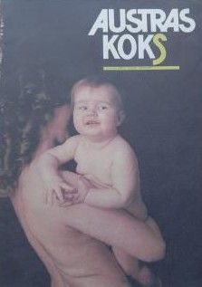 Austras koks