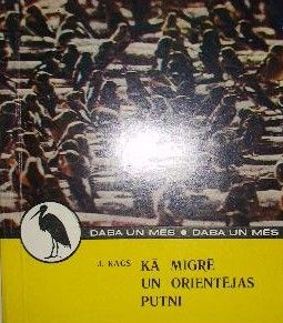 Kā migrē un orientējas putni