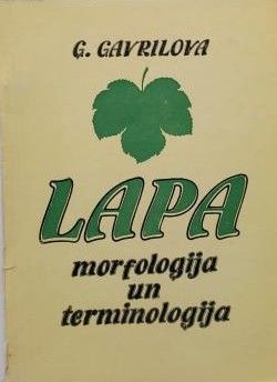 Lapa. Morfoloģija un terminoloģija
