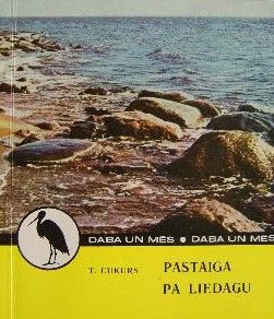 Pastaiga pa liedagu