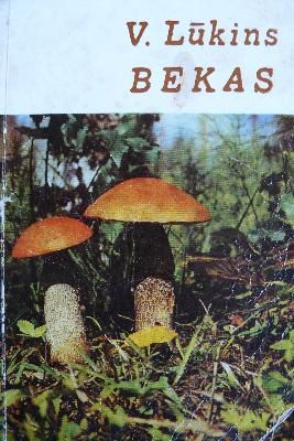 Bekas
