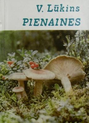 Pienaines