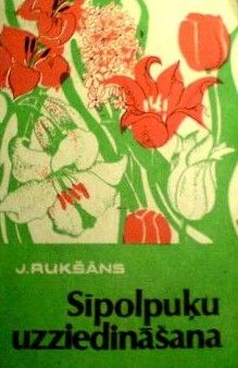 Sīpolpuķu uzziedināšana