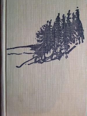 Tuksneša priesteris