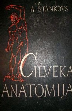 Cilvēka anatomija