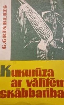 Kukurūza ar vālītēm skābbarībai