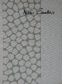 Kājāmgājējs un mūžība