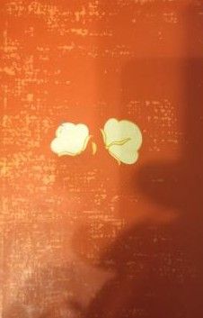 Stāsts par Hodžu Nasredinu