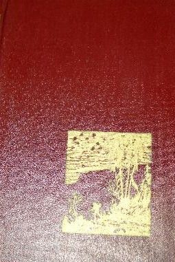 Zem rudens zvaigznēm