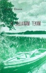 Pa saulainām tekām