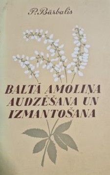 Baltā amoliņa audzēšana un izmantošana