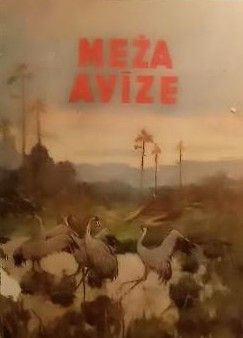 Meža avīze
