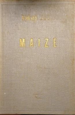 Maize