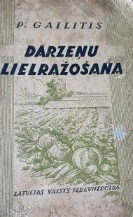 Dārzeņu lielražošana
