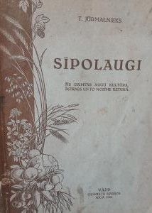 Sīpolaugi
