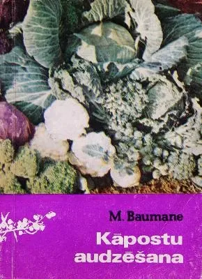 Kāpostu audzēšana