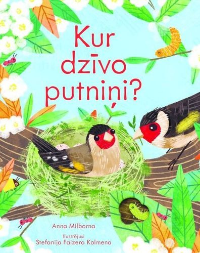 Kur dzīvo putniņi? Grāmata ar lodziņiem