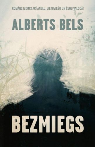Bezmiegs