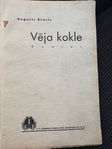 Vēja kokle