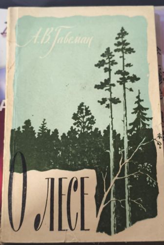 О лесе