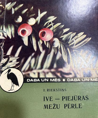 Īve - piejūras mežu pērle